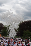 Inhaltsbild Inhaltsbild